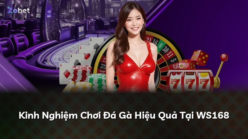 Kinh Nghiệm Chơi Đá Gà Hiệu Quả Tại WS168