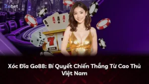 Xóc Đĩa Go88: Bí Quyết Chiến Thắng Từ Cao Thủ Việt Nam